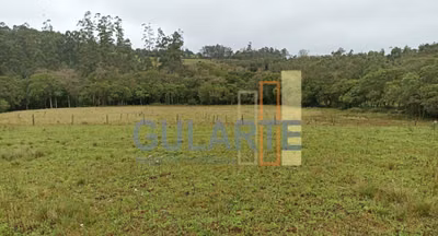 Chácara, 13 hectares - Foto 1
