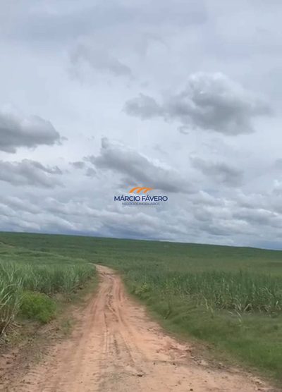 Fazenda, 958 hectares - Foto 5