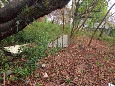 Terreno, 9959 m² - Foto 4