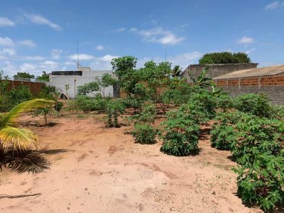 Chácara, 1000 m² - Foto 1