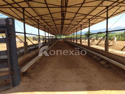 Fazenda, 249 m² - Foto 5