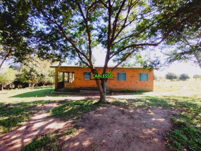 Chácara, 3 quartos, 12 hectares - Foto 4