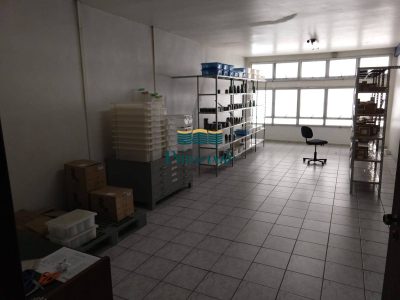 Prédio Inteiro, 1000 m² - Foto 4