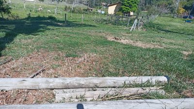 Chácara, 2 quartos, 5 hectares - Foto 4