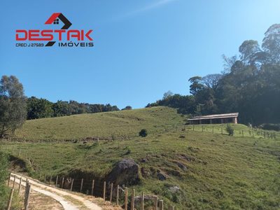 Sítio, 3 quartos, 4 hectares - Foto 4