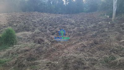 Terreno, 4 hectares - Foto 5