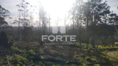 Terreno, 1000 m² - Foto 3