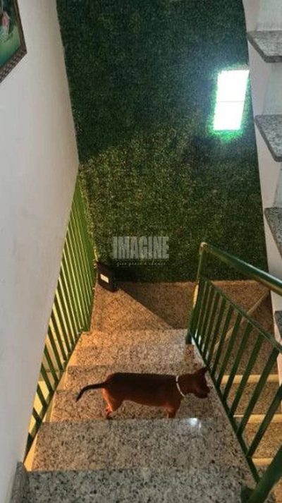 Sobrado, 3 quartos, 150 m² - Foto 3