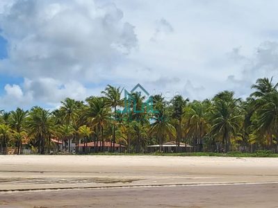 Sítio, 5 hectares - Foto 3