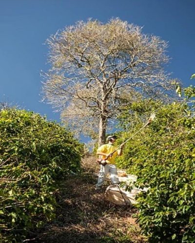 Fazenda, 110 m² - Foto 3