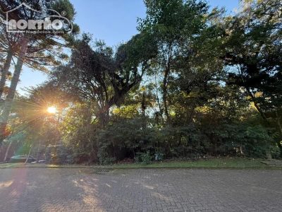 Casa, 784 m² - Foto 3