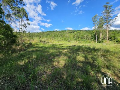 Chácara, 3 hectares - Foto 4