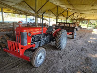 Sítio, 3 quartos, 17 hectares - Foto 2