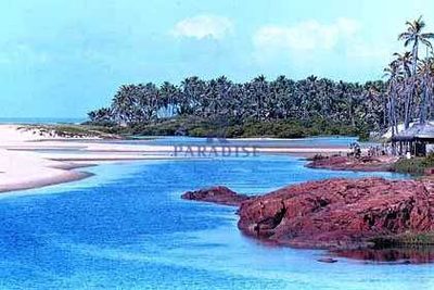 Prédio Inteiro, 3000 m² - Foto 3