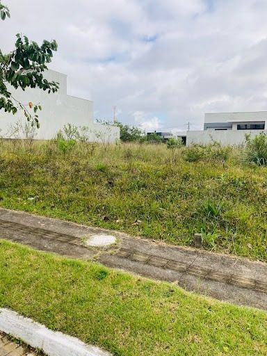 Terreno - Foto 2