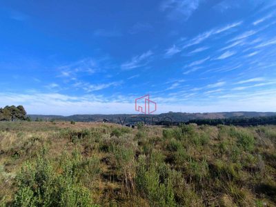 Terreno, 9292 m² - Foto 1