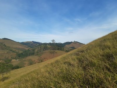 Terreno - Foto 4