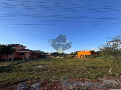 Terreno, 2262 m² - Foto 3