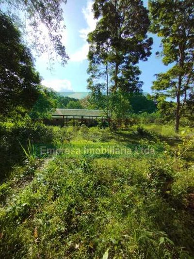Terreno, 1250 m² - Foto 4