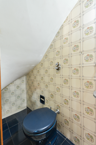 Casa, 5 quartos, 309 m² - Foto 4
