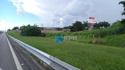Terreno, 5 hectares - Foto 1