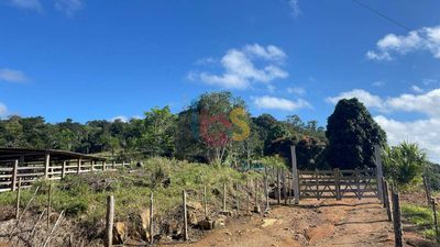 Fazenda - Foto 2
