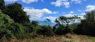 Chácara, 3 hectares - Foto 1