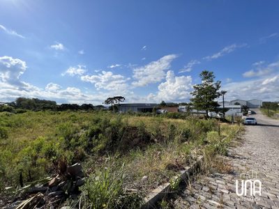 Terreno, 7134 m² - Foto 3