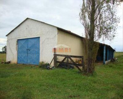 Sítio, 3 quartos, 1 m² - Foto 5