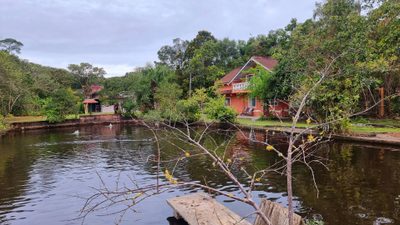 Chácara, 10 quartos, 2 hectares - Foto 1