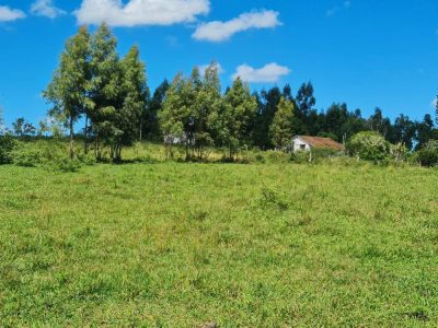 Fazenda - Foto 5