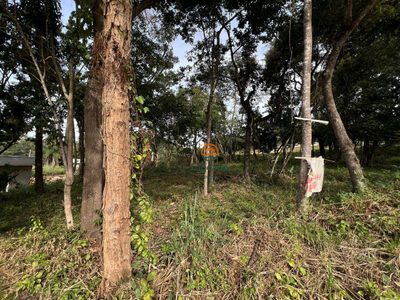 Loteamento e Condomínio, 1000 m² - Foto 2