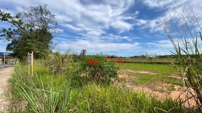 Terreno, 2 hectares - Foto 4