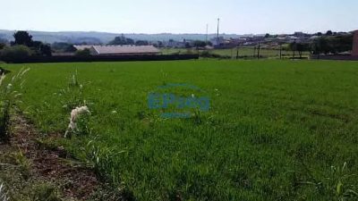 Terreno, 4 hectares - Foto 3