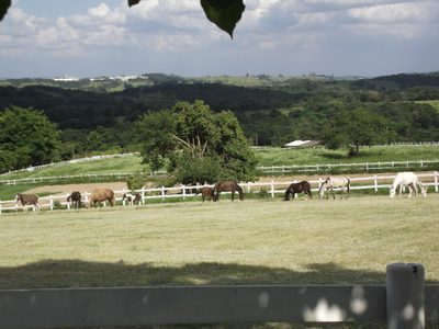 Fazenda, 33 hectares - Foto 1