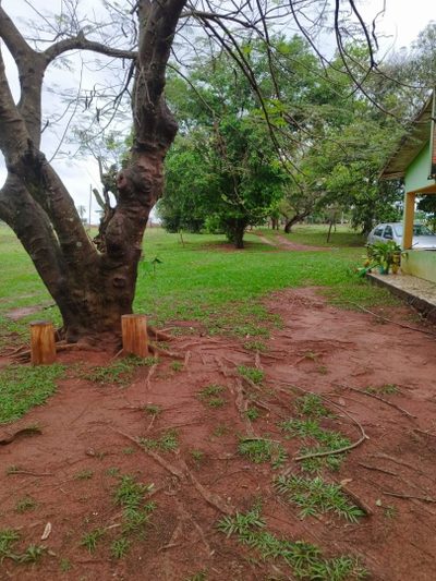 Sítio, 15 hectares - Foto 3