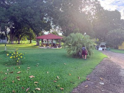 Chácara, 2 hectares - Foto 4