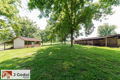 Terreno, 8 hectares - Foto 2