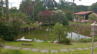 Chácara, 4 quartos, 1 hectares - Foto 3