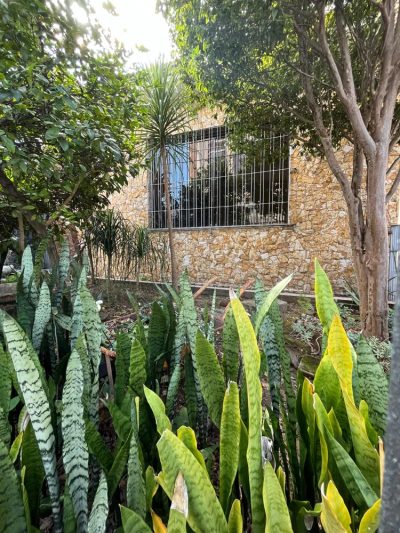 Apartamento, 20 quartos, 585 m² - Foto 4