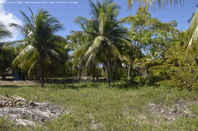 Terreno, 7743 m² - Foto 2