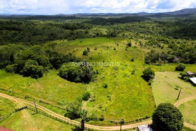 Fazenda, 45 hectares - Foto 5