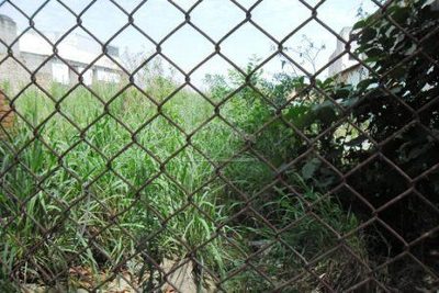 Terreno, 1080 m² - Foto 4