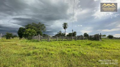 Fazenda - Foto 1
