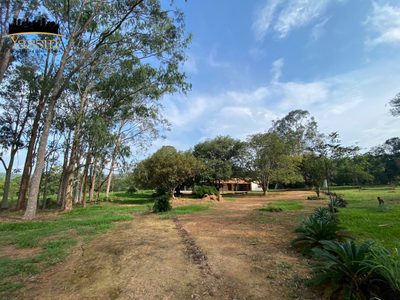 Chácara, 4 quartos - Foto 2