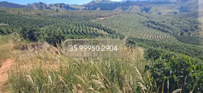 Chácara, 1 quarto, 32 hectares - Foto 1