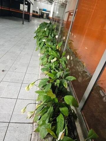 Depósito-Galpão, 400 m² - Foto 5