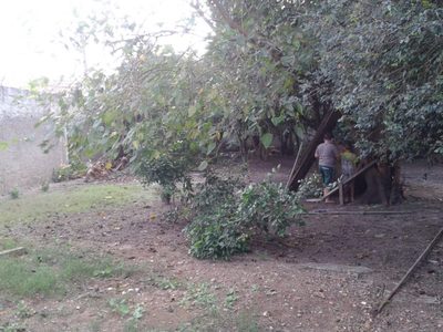 Terreno, 885 m² - Foto 4
