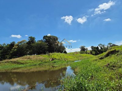 Sítio, 7 hectares - Foto 4