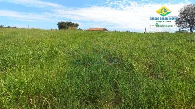Fazenda, 3 quartos - Foto 2